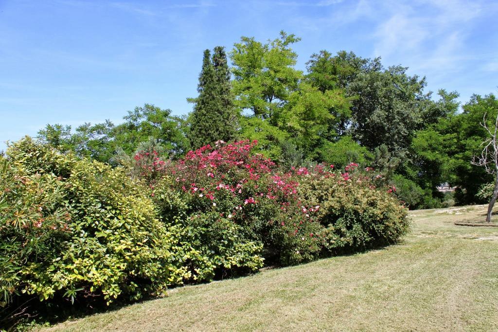 Villa Melagrana 파노 객실 사진